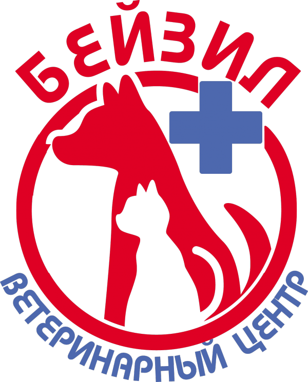 Логотип компании БЕЙЗИЛ