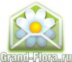 Логотип компании Доставка цветов Гранд Флора (ф-л г.КИРОВСК)